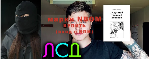 прущие крисы Белокуриха