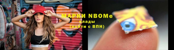 прущие крисы Белокуриха