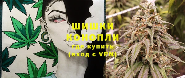 прущие крисы Белокуриха
