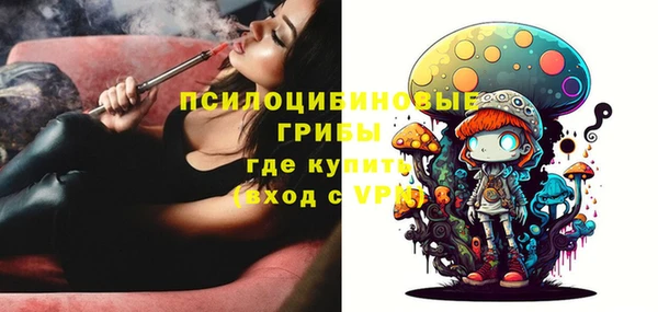 прущие крисы Белокуриха